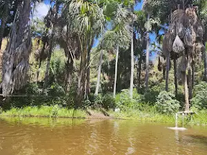 Taperinha