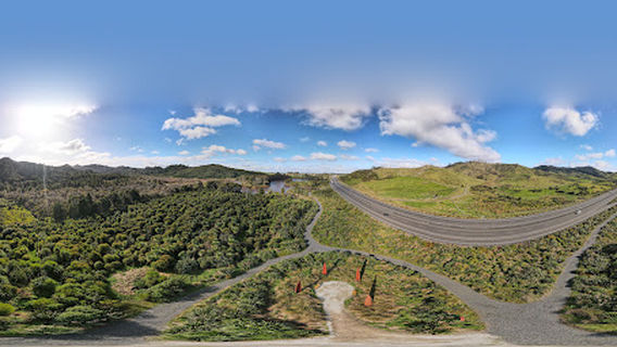 Taupiri Pass Scientific Reserve