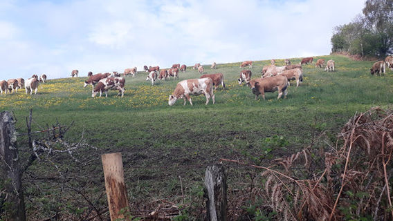 La Borie du Cauvel