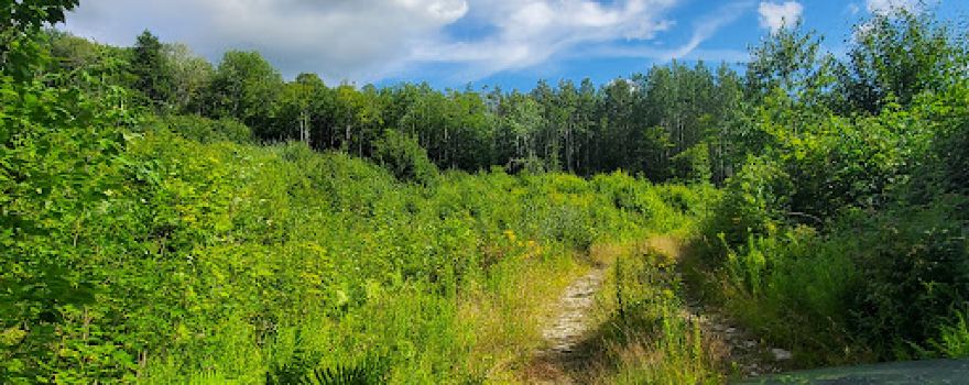 Pine Mountain Wildlife Management Area