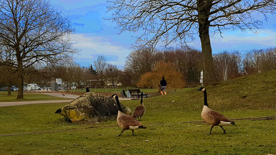 Umminger See