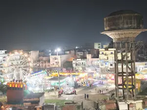 Lions Park