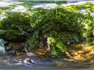 Bukit Lawang Conservasi