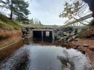Tunnel Brook Cave