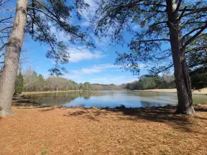 Veterans Park