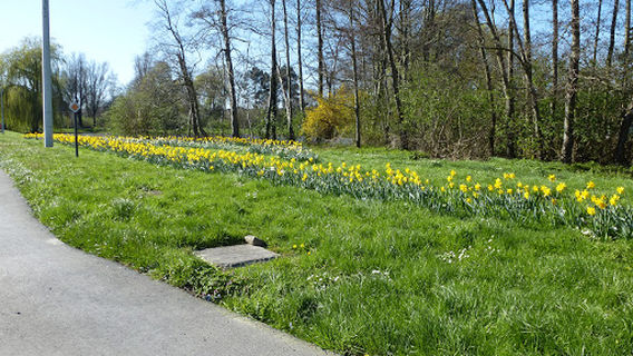Tielt