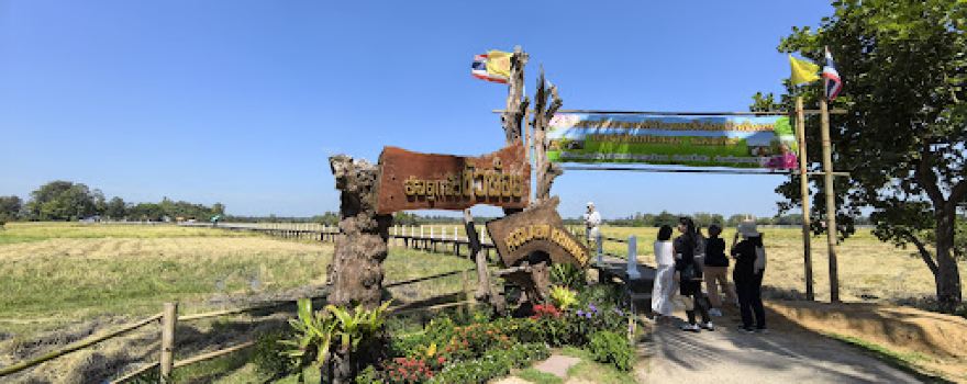 Ban Chi Thuan Rice Fields Walking Bridge