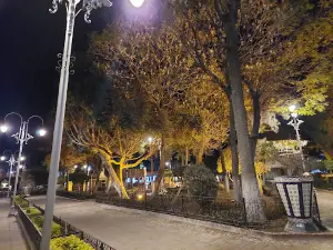 Centro De Tepeaca