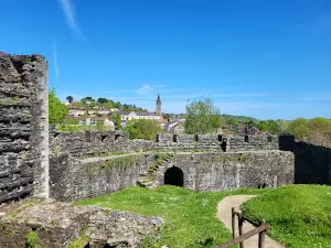 Castle of Oudon - Loire Scene