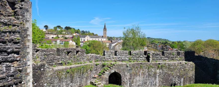 Castle of Oudon - Loire Scene