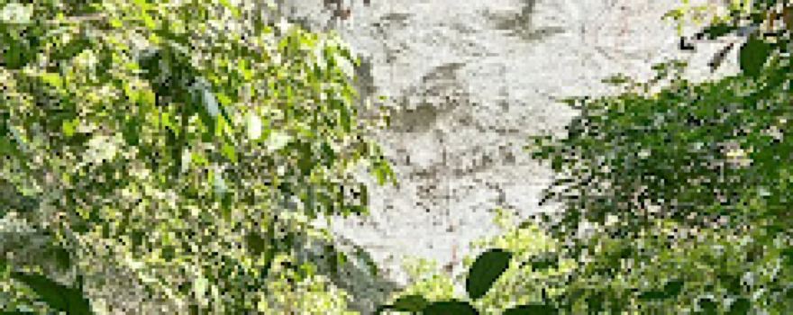 Tabalar ulu