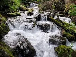 McHugh Creek Day Use Area