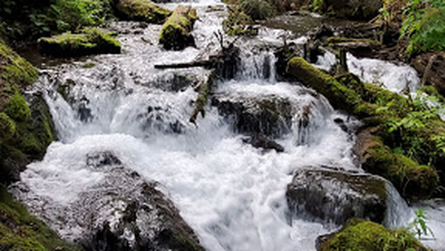 McHugh Creek Day Use Area