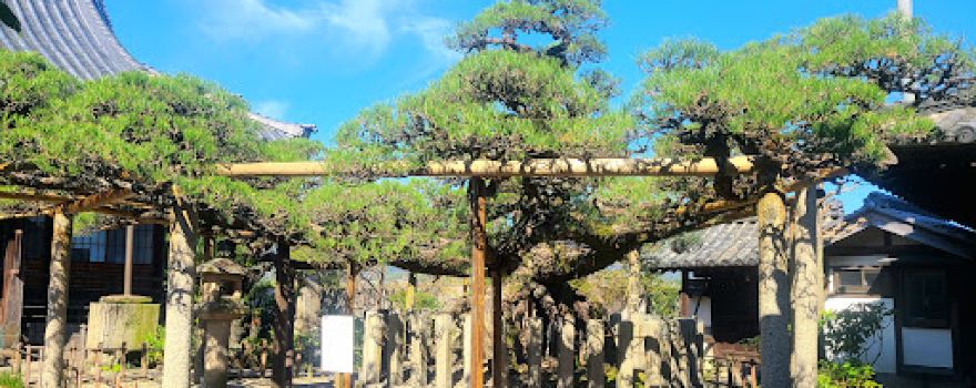 Jodoshinshuhonganjiha Zensho Temple