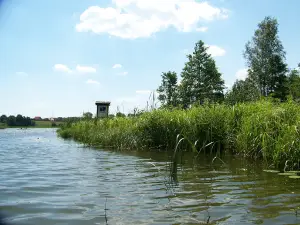 Rope Park Spychowo