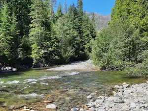 Kootenay's Hidden Fairy Forest