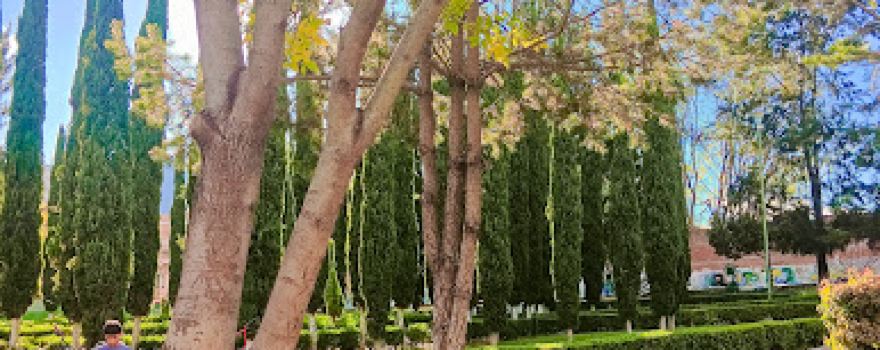 Alameda Sur