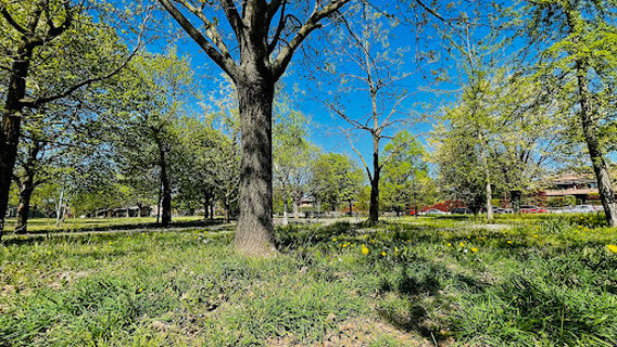 Parco via Lombardia