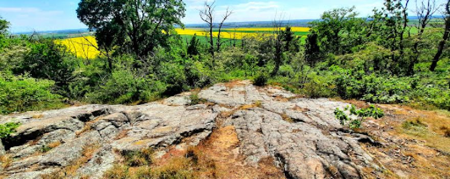 Kleiner Berg Hohburg
