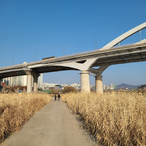 응봉근린공원 (대현산배수지공원) - 입장권, 운영 시간, 후기 & 사진 [2025년] | Trip.com