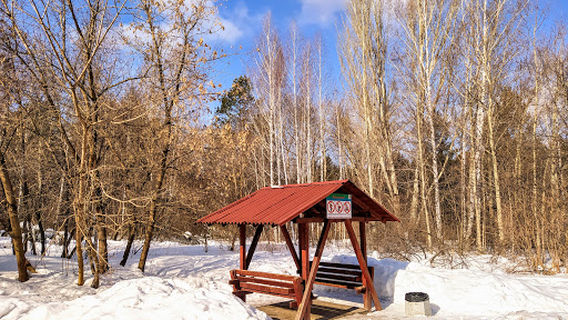 Dendropark