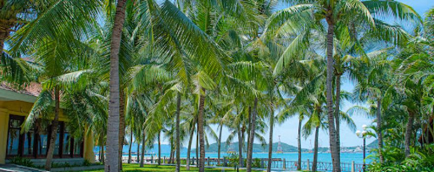 Bến Tàu VinWonders