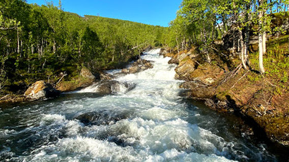 Sir Henri’s vesiputous