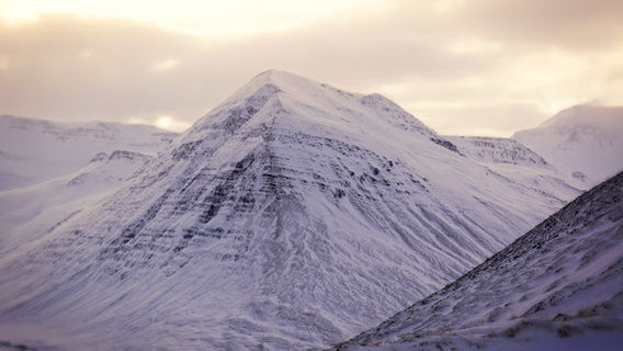 Sjónarhorn