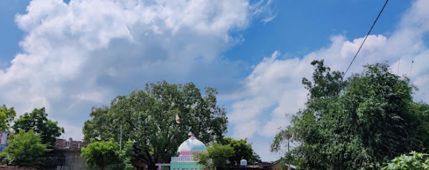 Shivala, Saraimeer
