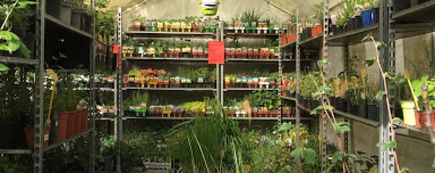 Jardinerie Dupin