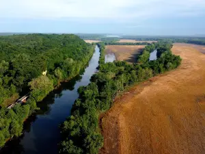 Magnolia Hollow Conservation Area