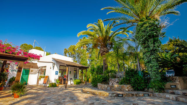 Kampaoh Paloma (Tarifa)