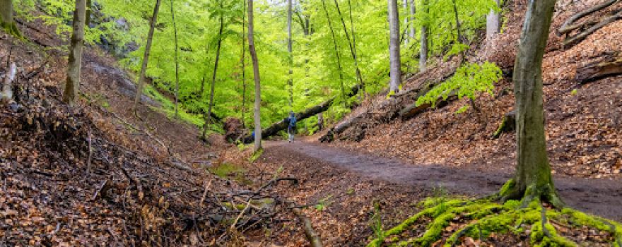 Landgrafenschlucht