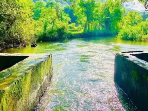 Besama Natural Pool - Mahiyanganaya