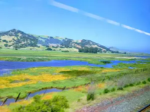 Grizzly Island Wildlife Area