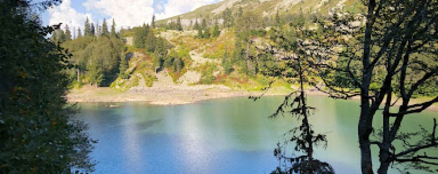 Black Lake შავი ტბა