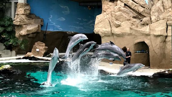 Delfinarium Zoo Duisburg