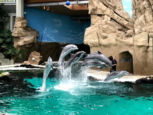 Delfinarium Zoo Duisburg