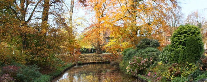 Kasteel Nieuwenbroeck