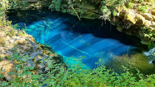 Los Ojos del Caburgua y Laguna Azul