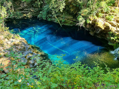 Los Ojos del Caburgua y Laguna Azul