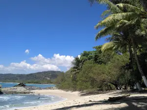 Bahia Barigona