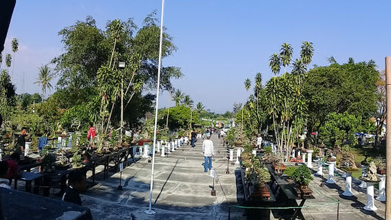Kalasan