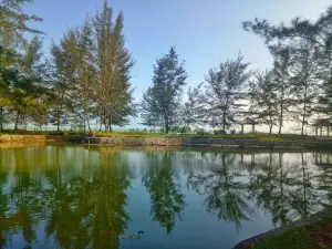 Pantai Pangkul Pantai Menung Kayu Besi