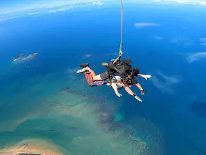 Airlie Beach Skydivers Dropzone - 1300SKYDIVE