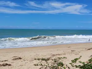 Camping do Farol
