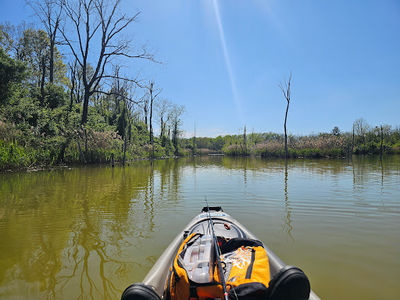 Chinook Fish and Wildlife Area