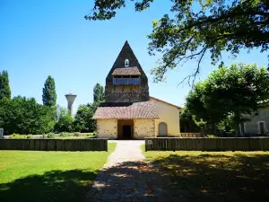 Graine de Forêt