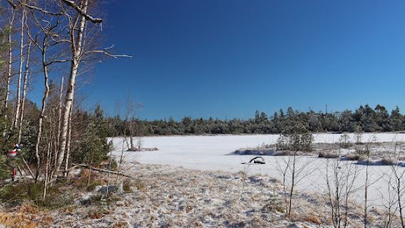 Wildseemoor