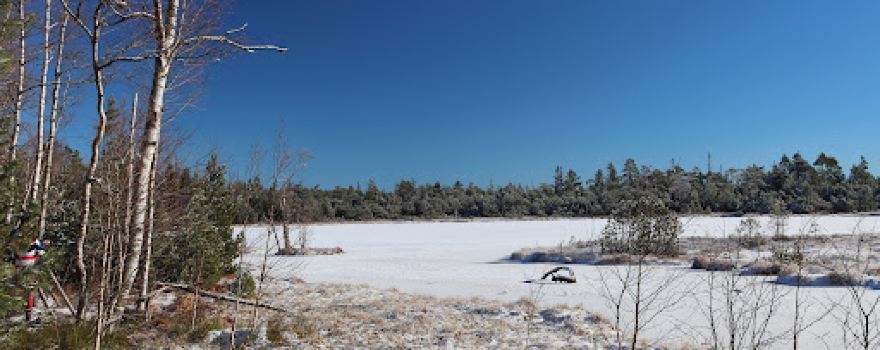 Wildseemoor